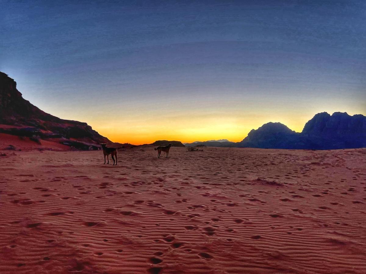 Wadi Rum Bedouin Tour With A Camp 外观 照片